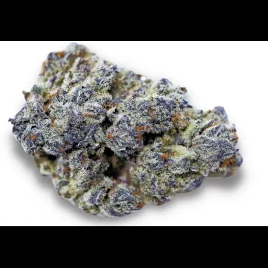 Blue Dream Kush CBD 16.9% - CBDpurple