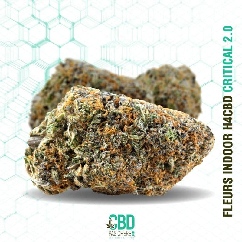 Critical 2.0 H4CBD 27% - Cbdpaschere