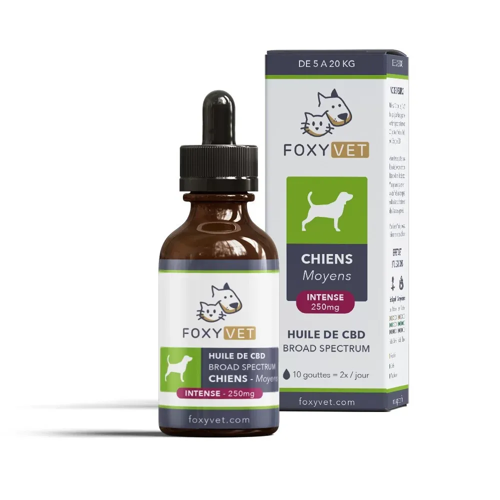 Huile Chien 5 20kg CBD 100mg - Weedy