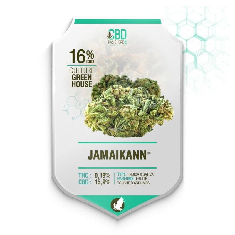 JamaiKann CBD 16% -Cbdpaschere