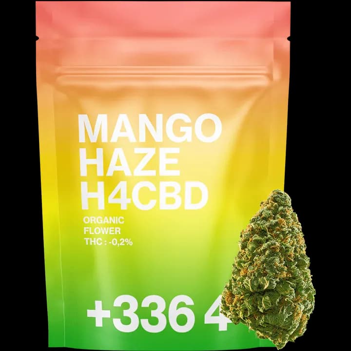 Mango Haze H4CBD 16% - Tealer420