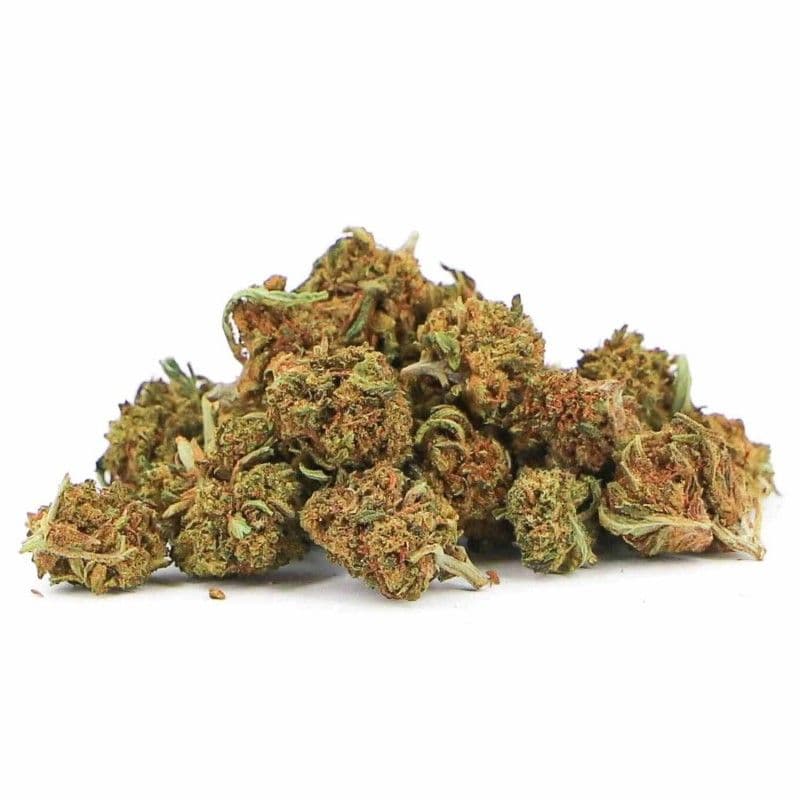 Mini Buds Greenhouse THCP+ 11% - Cbdpaschere