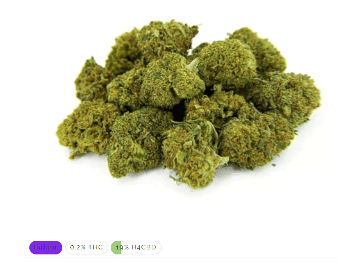 Mini Bud Premium H4CBD 19% - Stormrock