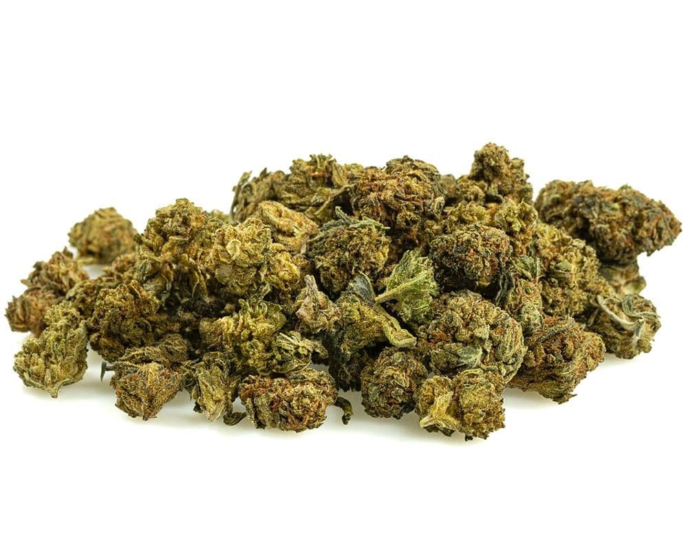 Mini Buds Indoor THCP+ 13% - Cbdpaschere