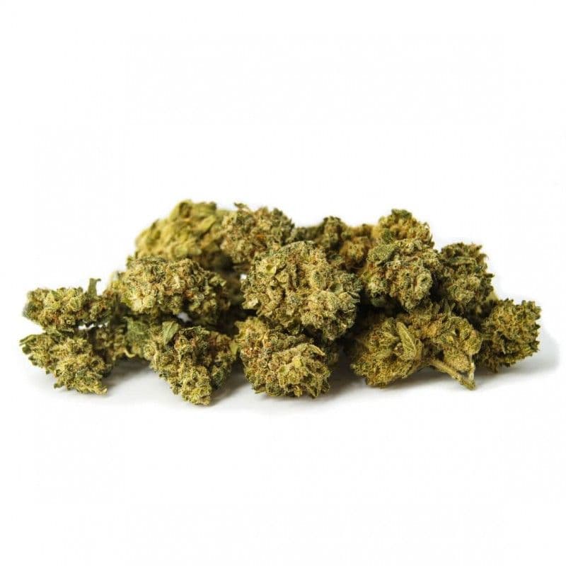 Mix Buds THCP+ 13% - Cbdpaschere