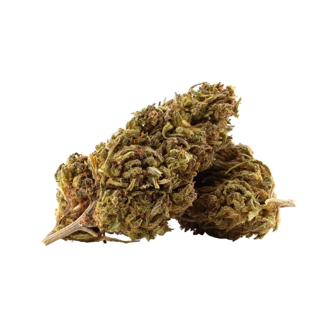 Mobydick CBD 16% - La Ferme du CBD