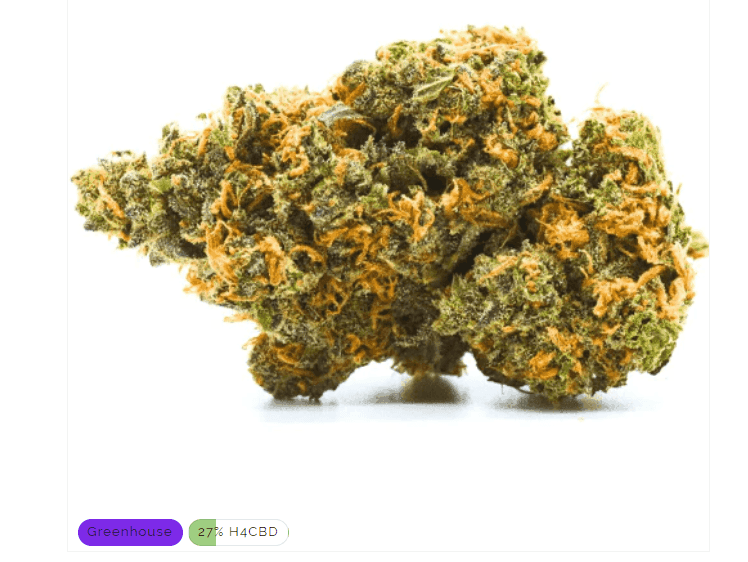 Northern Light H4CBD 27% - Stormrock