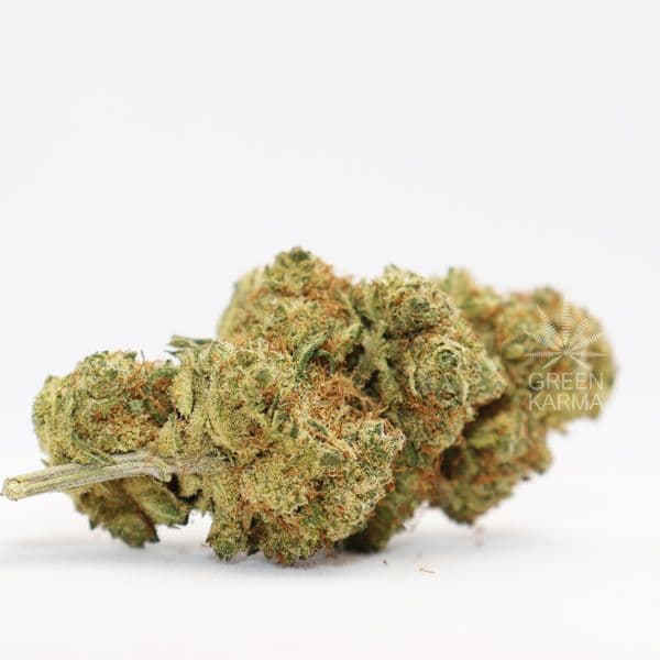 Orangello CBD 10% - Greenkarma