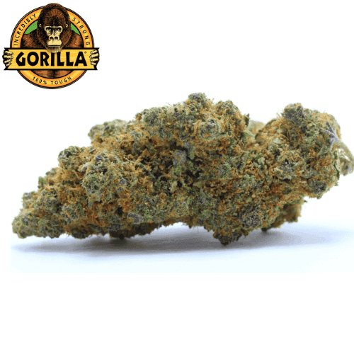 Pack 25g Gorilla Glue CBD 10% - Cbdpaschere