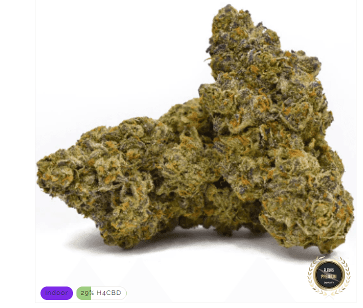 Pack Mango Kush H4CBD 29% - Stormrock