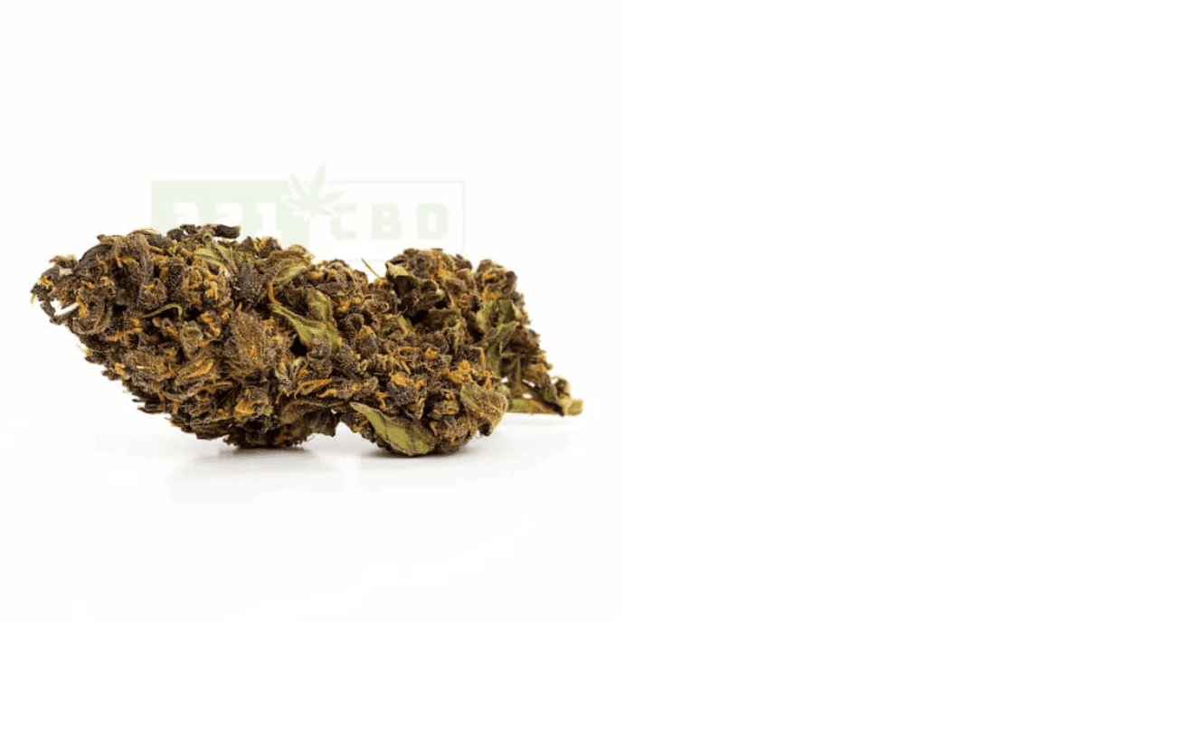 Purple Haze CBD 19.7% - 321cbd