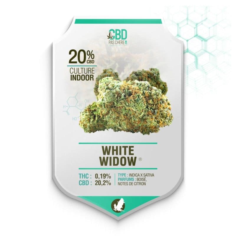 White Widow CBD 20% - Cbdpaschere