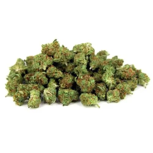 Mini Bud Premium CBD 15% - Stormrock