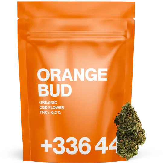 Orange Bud CBD 13% - Tealerlab