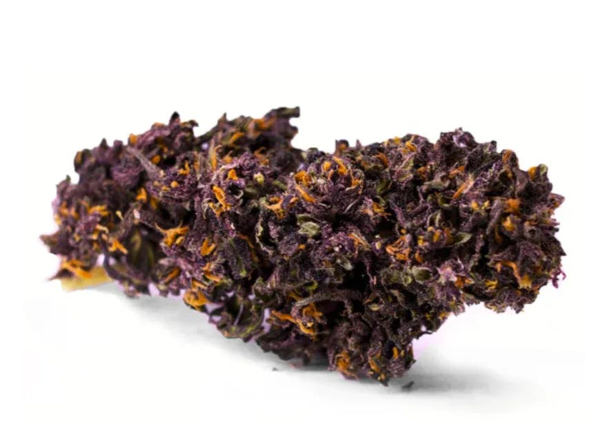 Purple Kush CBD 22% - Bonneweed