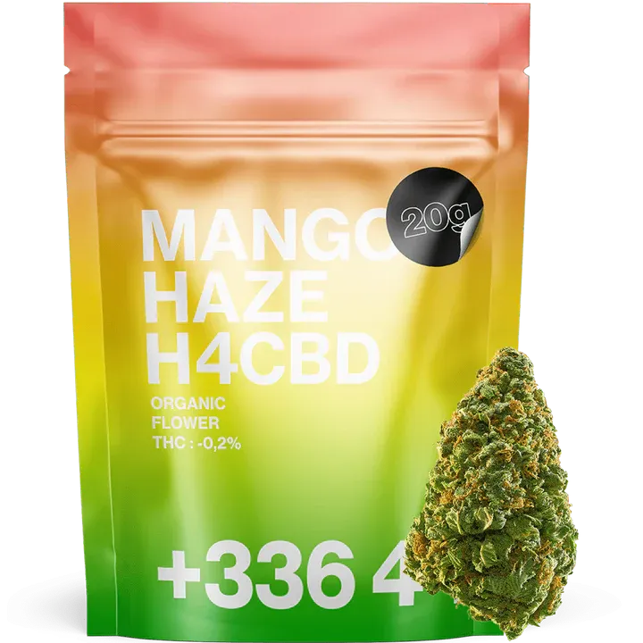 20g Mango Limited H4CBD 16% - Tealer420