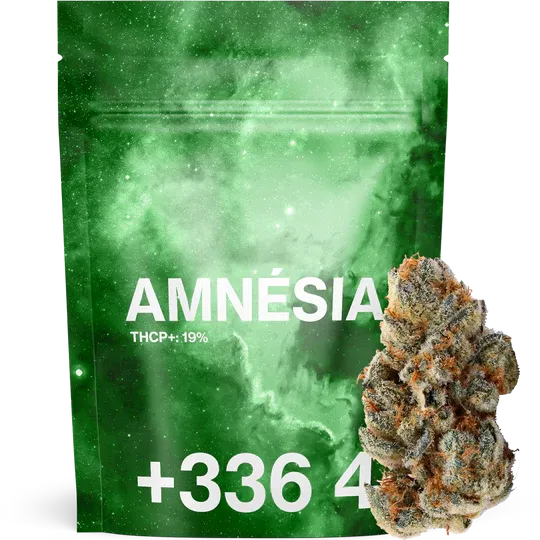 Amnesia THCP+ 19% - Tealerlab