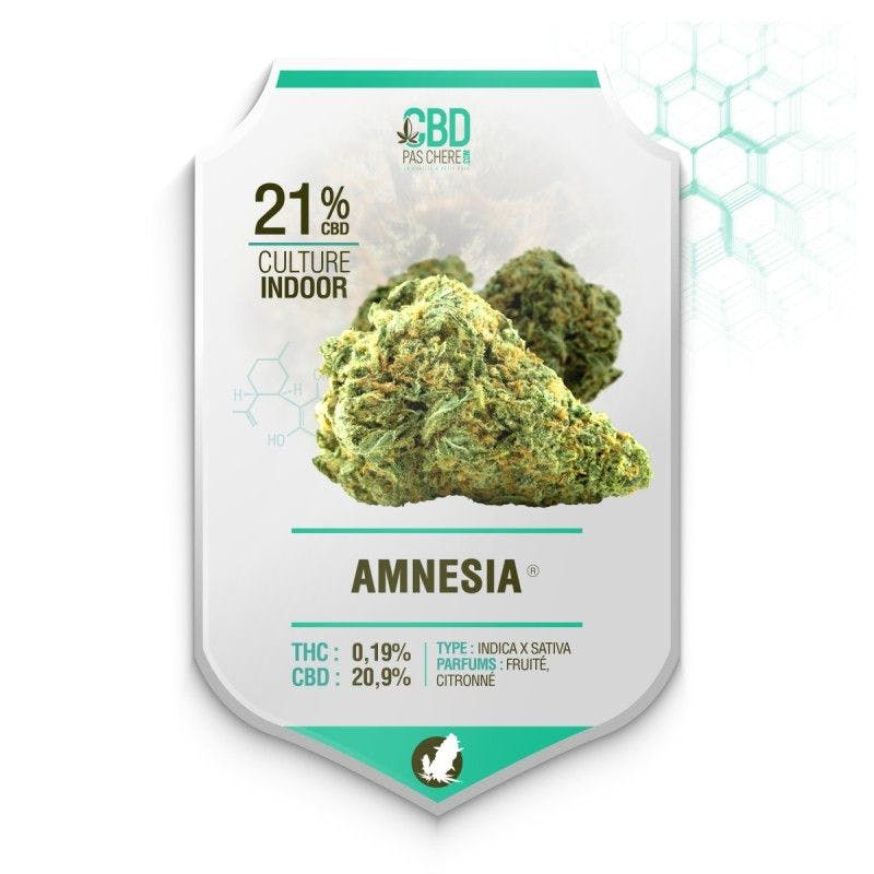 Amnesia CBD 21% - Cbdpaschere