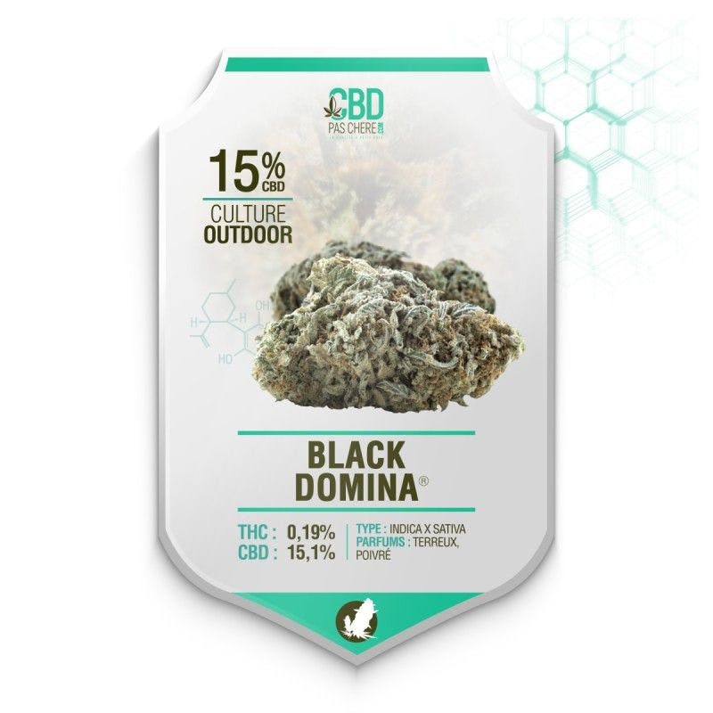 Black Domina CBD 15% - Cbdpaschere
