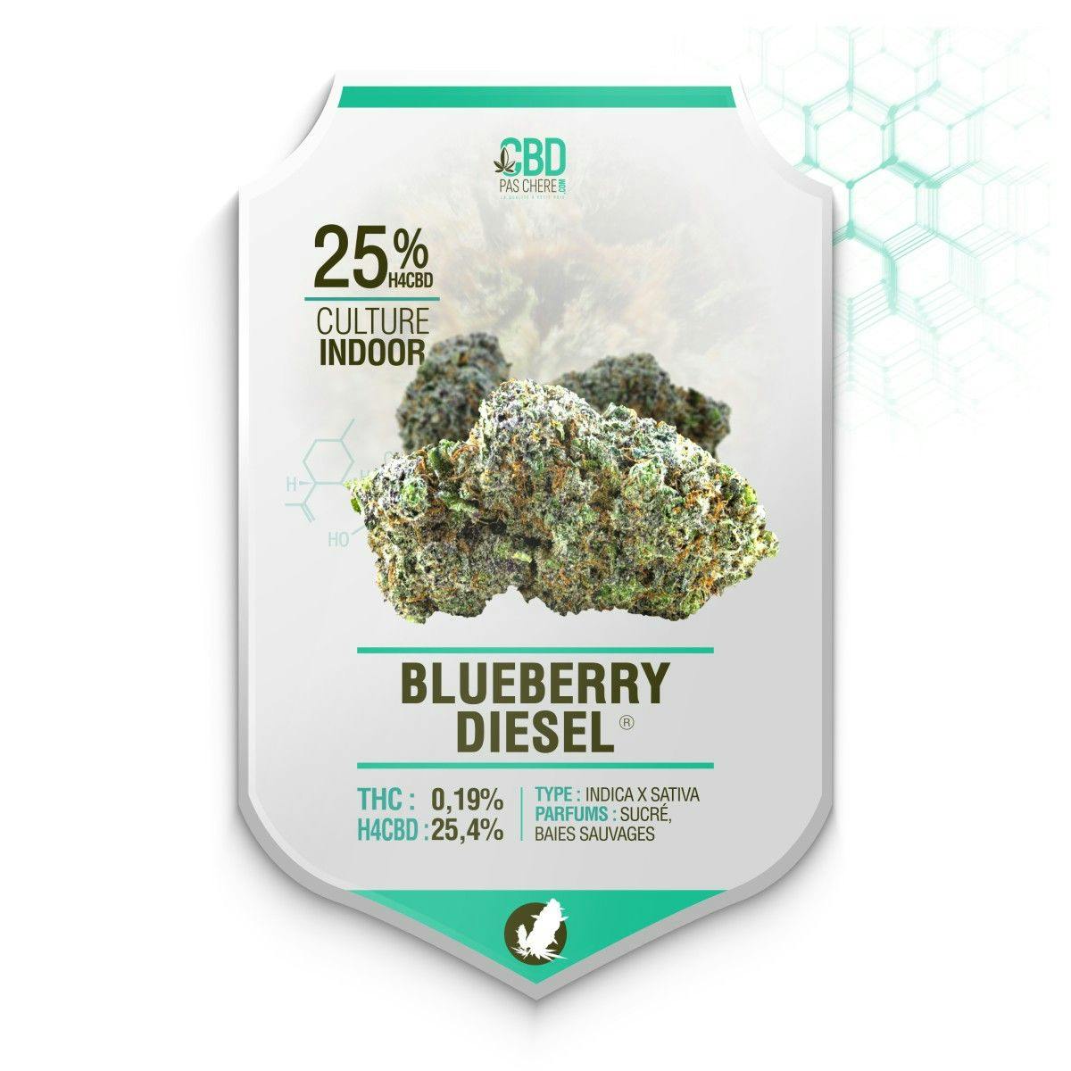 Blueberry Diesel H4CBD 25.4% - Cbdpaschere