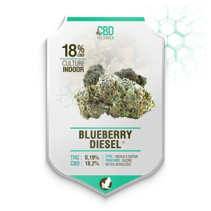 Blueberry Diesel CBD 18% - Cbdpaschere
