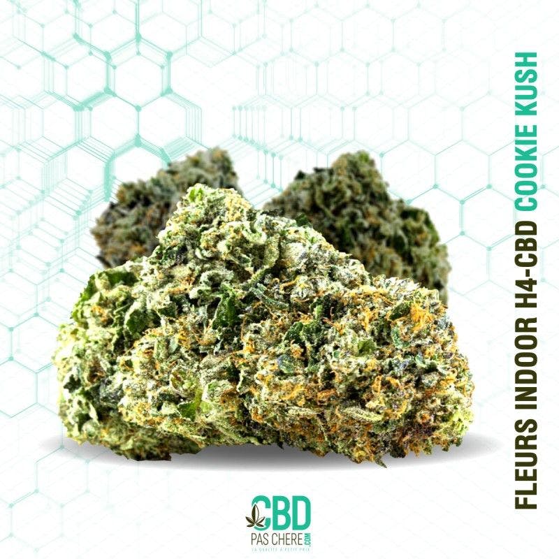 Cookie Kush H4CBD 22% - Cbdpaschere