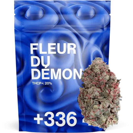 Fleur Du Démon THCP+20% - Tealerlab