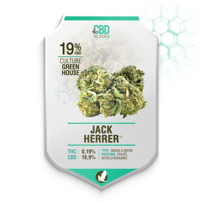 Jack Herrer CBD 19% - Cbdpaschere