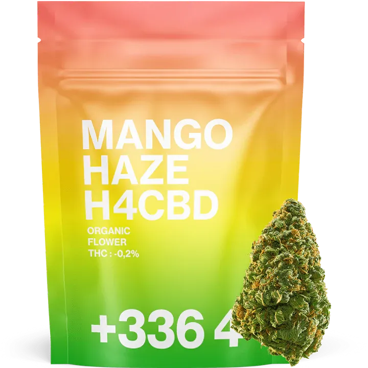 Mango Haze H4CBD 16% - Tealerlab