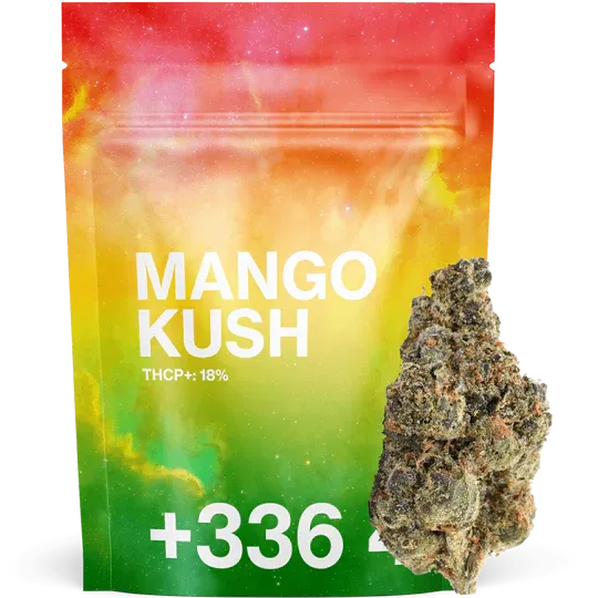 Mango Kush THCP+ 18% - Tealer420