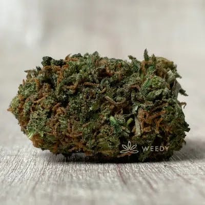 Orange Bud CBD 10% - Weedy
