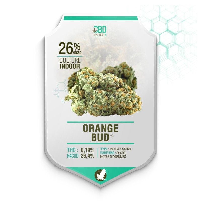 Orange Bud H4CBD 26.4% - Cbdpaschere