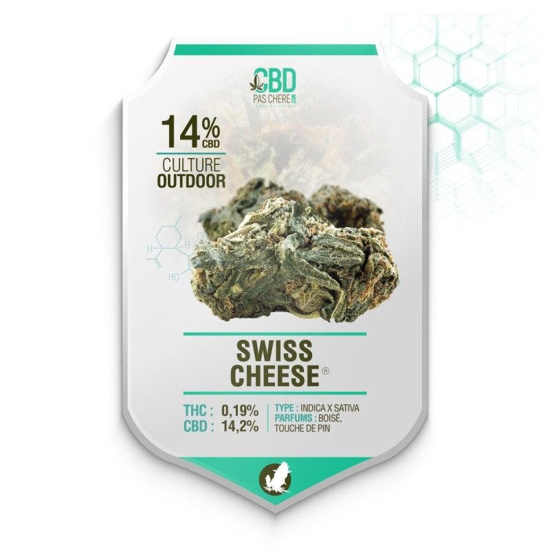 Swiss Cheese CBD 14% - Cbdpaschere